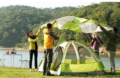 Company Culture--Staff