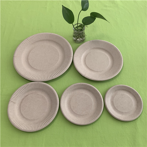 fancy compostable plates