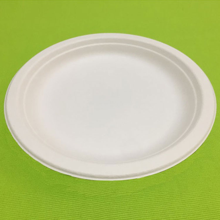 Hot Selling Disposable Fiber Round Bagasse Plate