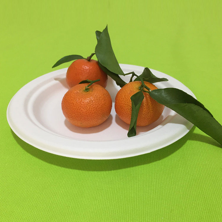 Fiber Pulp Bagasse Tableware Plates