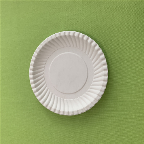 sugarcane pulp plates