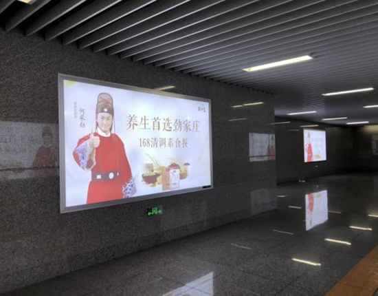 11/5000 LED light does not light how to repair